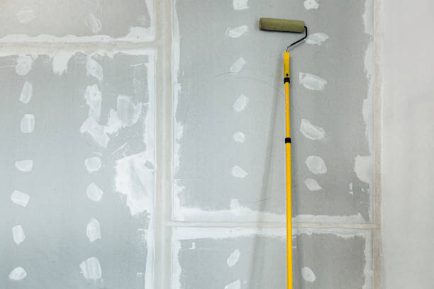 Best Drywall Sanding and Smoothing  in Pineville, LA