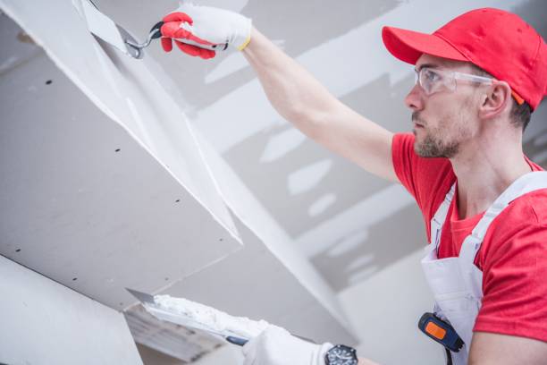 Best Trim and Molding Painting  in Pineville, LA